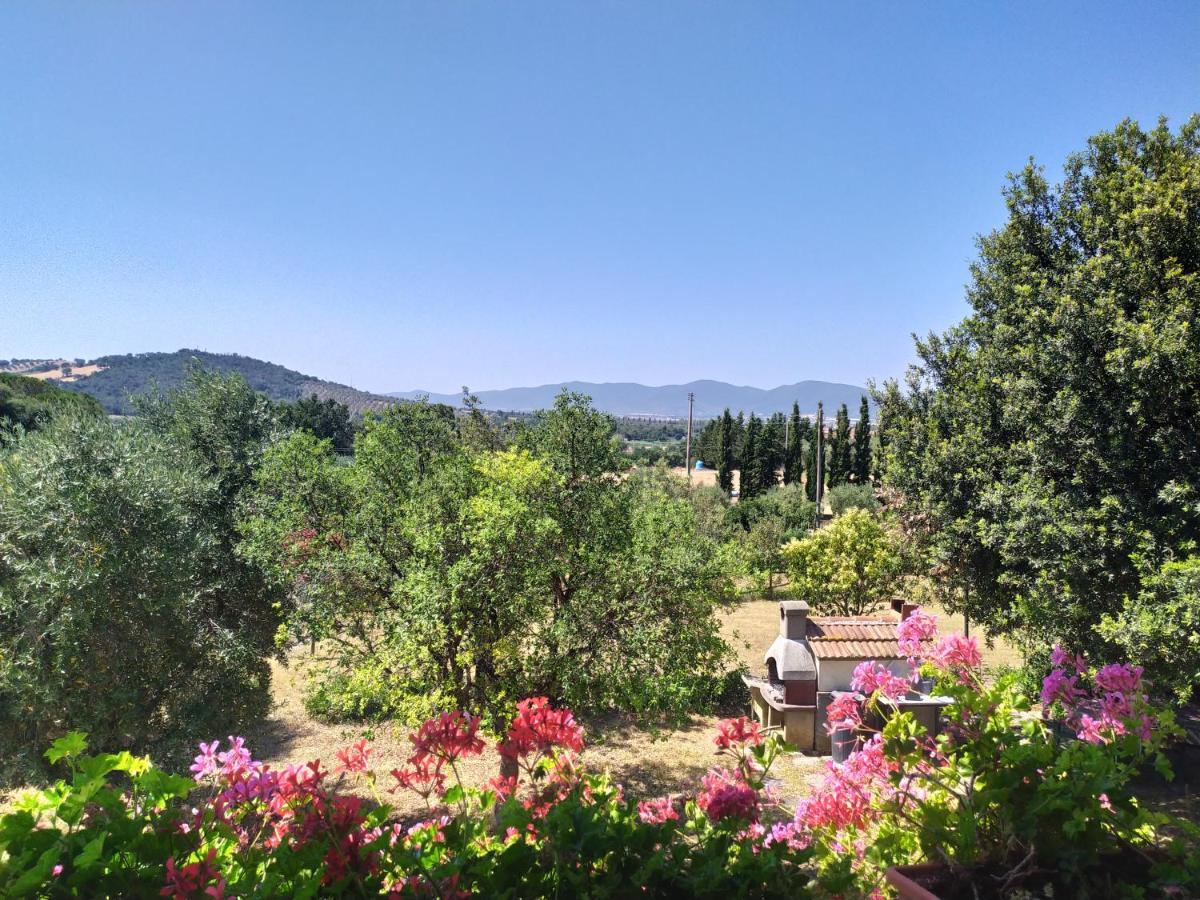 Agriturismo San Giorgino غروسيتو المظهر الخارجي الصورة
