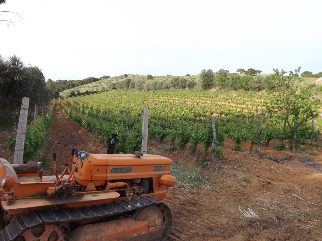 Agriturismo San Giorgino غروسيتو المظهر الخارجي الصورة